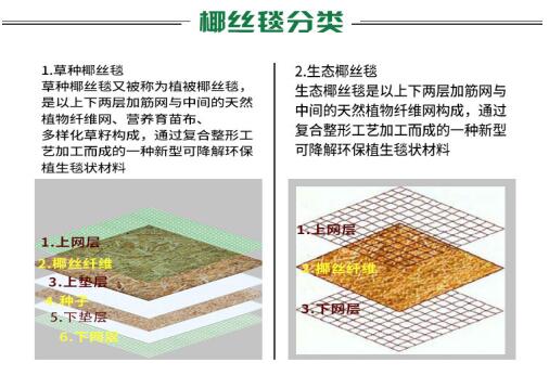 椰絲毯在實際護坡工程中的應(yīng)用